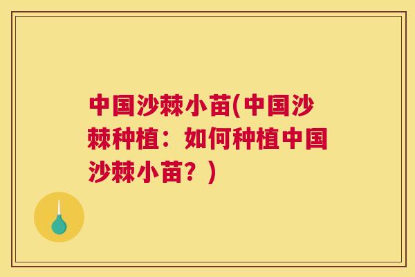 中国沙棘小苗(中国沙棘种植：如何种植中国沙棘小苗？)