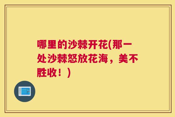 哪里的沙棘开花(那一处沙棘怒放花海，美不胜收！)