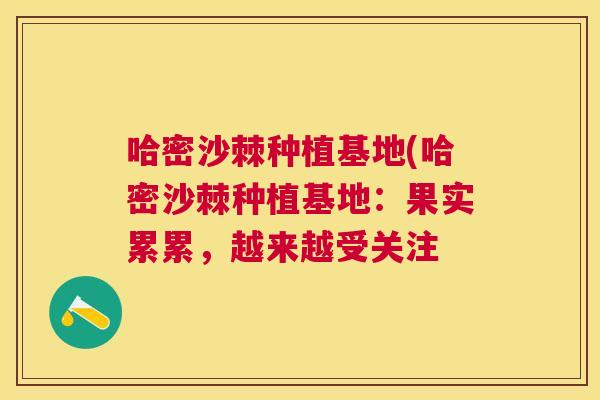 哈密沙棘种植基地(哈密沙棘种植基地：果实累累，越来越受关注