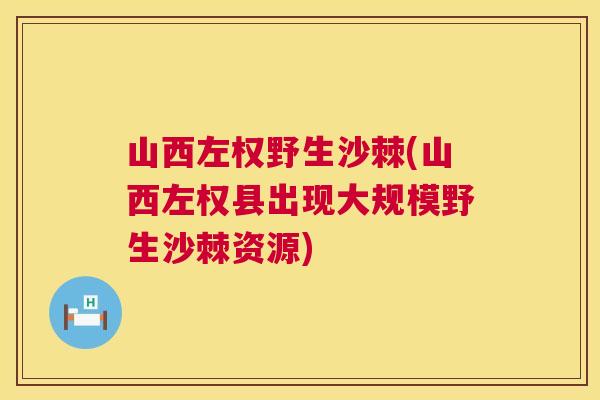 山西左权野生沙棘(山西左权县出现大规模野生沙棘资源) 山西左权野生沙棘(山西左权县出现大规模野生沙棘资源)