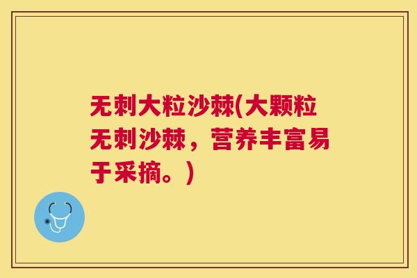 无刺大粒沙棘(大颗粒无刺沙棘，营养丰富易于采摘。)