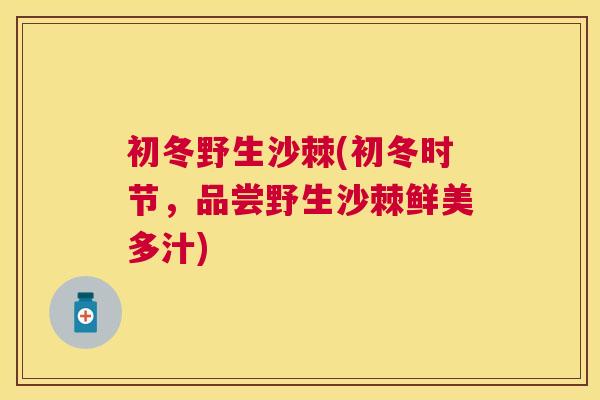 初冬野生沙棘(初冬时节,品尝野生沙棘鲜美多汁) 初冬野生沙棘(初冬时节,品尝野生沙棘鲜美多汁)