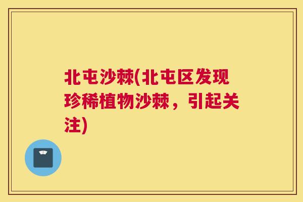 北屯沙棘(北屯区发现珍稀植物沙棘，引起关注)