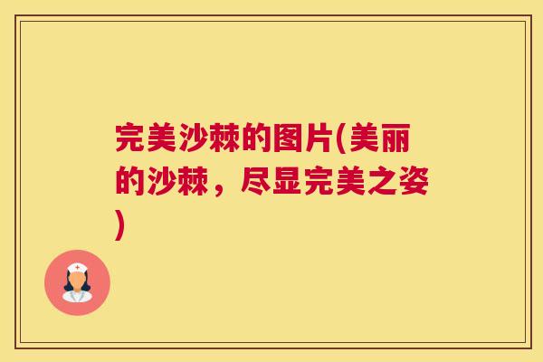 完美沙棘的图片(美丽的沙棘，尽显完美之姿)