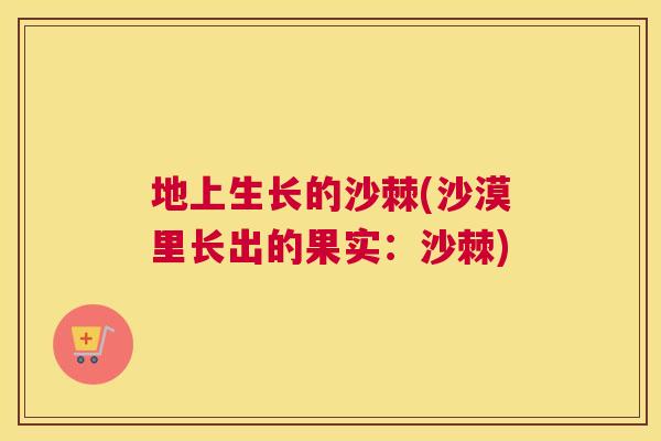 地上生长的沙棘(沙漠里长出的果实：沙棘)