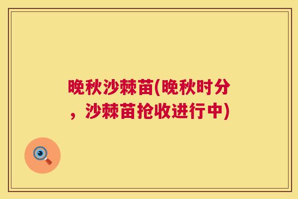 晚秋沙棘苗(晚秋时分，沙棘苗抢收进行中)