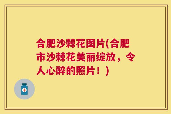 合肥沙棘花图片(合肥市沙棘花美丽绽放,令人心醉的照片!)