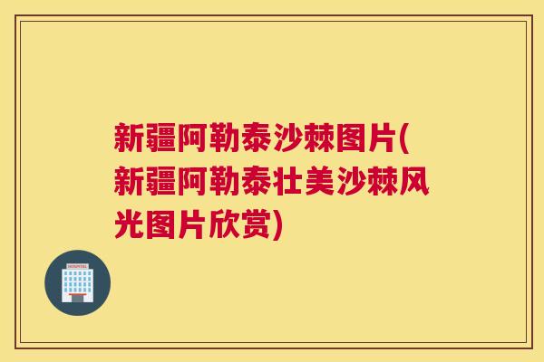 新疆阿勒泰沙棘图片(新疆阿勒泰壮美沙棘风光图片欣赏)