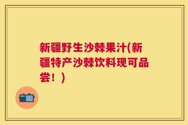 新疆野生沙棘果汁(新疆特产沙棘饮料现可品尝！)