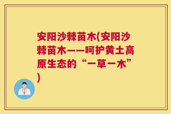 安阳沙棘苗木(安阳沙棘苗木——呵护黄土高原生态的“一草一木”)