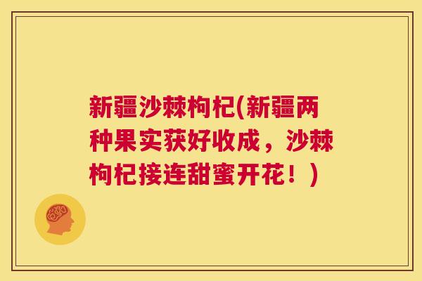 新疆沙棘枸杞(新疆两种果实获好收成,沙棘枸杞接连甜蜜开花!)