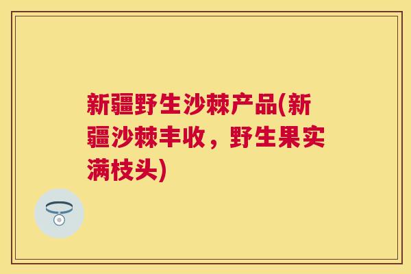 新疆野生沙棘产品(新疆沙棘丰收，野生果实满枝头)