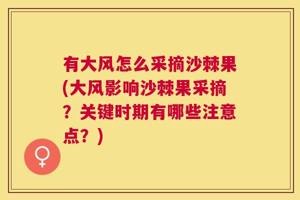 有大风怎么采摘沙棘果(大风影响沙棘果采摘?关键时期有哪些注意点?)