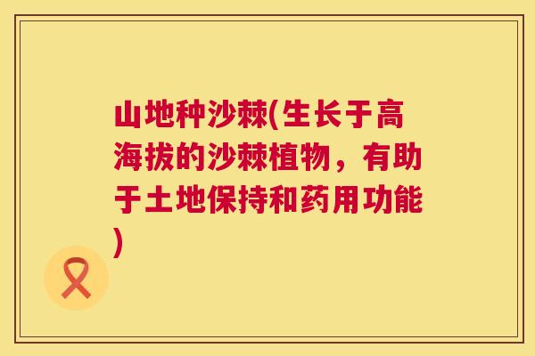 山地种沙棘(生长于高海拔的沙棘植物，有助于土地保持和药用功能)