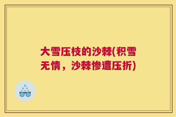 大雪压枝的沙棘(积雪无情,沙棘惨遭压折)