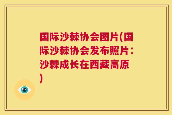 国际沙棘协会图片(国际沙棘协会发布照片:沙棘成长在西藏高原 ) 国际沙棘协会图片(国际沙棘协会发布照片:沙棘成长在西藏高原 )