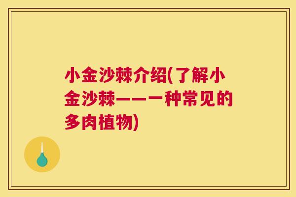 小金沙棘介绍(了解小金沙棘——一种常见的多肉植物)