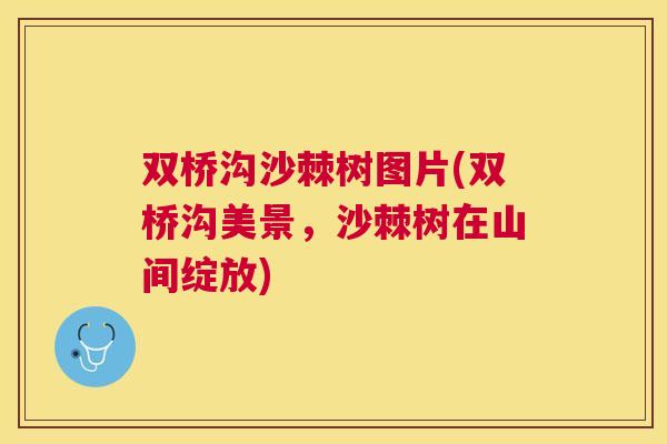 双桥沟沙棘树图片(双桥沟美景，沙棘树在山间绽放)