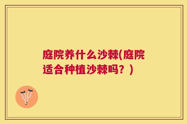 庭院养什么沙棘(庭院适合种植沙棘吗？)