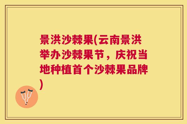 景洪沙棘果(云南景洪举办沙棘果节，庆祝当地种植首个沙棘果品牌)