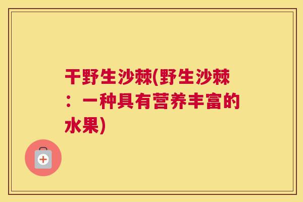 干野生沙棘(野生沙棘:一种具有营养丰富的水果)