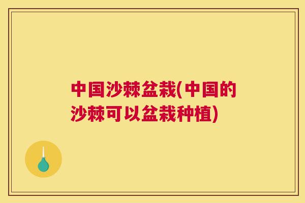 中国沙棘盆栽(中国的沙棘可以盆栽种植)