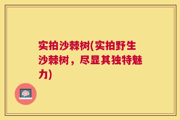 实拍沙棘树(实拍野生沙棘树,尽显其独特魅力) 实拍沙棘树(实拍野生沙棘树,尽显其独特魅力)