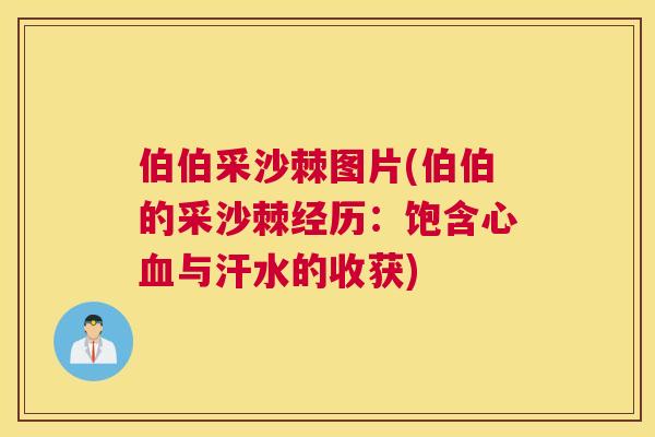 伯伯采沙棘图片(伯伯的采沙棘经历:饱含心与汗水的收获) 伯伯采沙棘图片(伯伯的采沙棘经历:饱含心与汗水的收获)