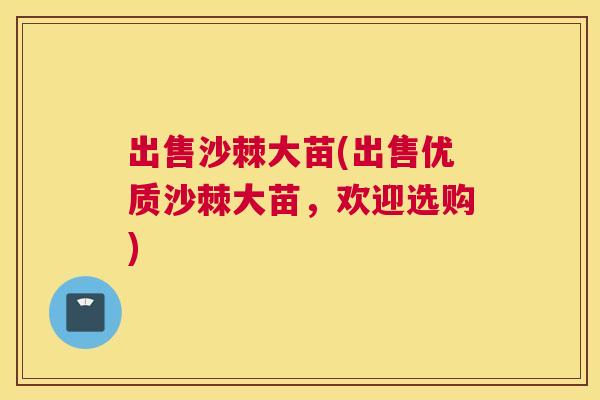 出售沙棘大苗(出售优质沙棘大苗,欢迎选购)
