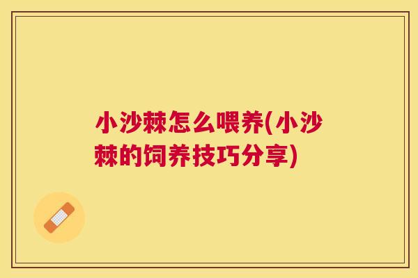 小沙棘怎么喂养(小沙棘的饲养技巧分享)