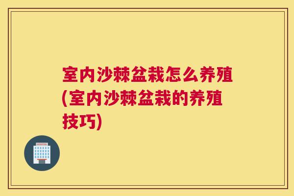 室内沙棘盆栽怎么养殖(室内沙棘盆栽的养殖技巧)