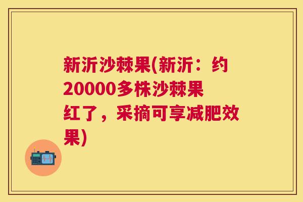 新沂沙棘果(新沂：约20000多株沙棘果红了，采摘可享减肥效果)