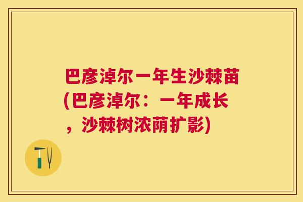 巴彦淖尔一年生沙棘苗(巴彦淖尔：一年成长，沙棘树浓荫扩影)