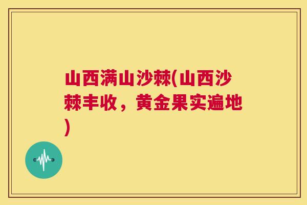 山西满山沙棘(山西沙棘丰收，黄金果实遍地)