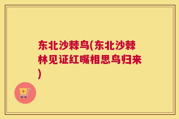 东北沙棘鸟(东北沙棘林见证红嘴相思鸟归来)