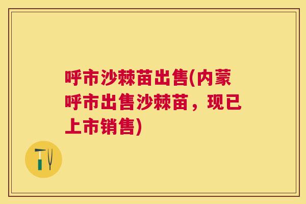 呼市沙棘苗出售(内蒙呼市出售沙棘苗,现已上市销售)
