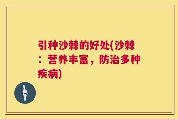 引种沙棘的好处(沙棘：营养丰富，防治多种疾病)