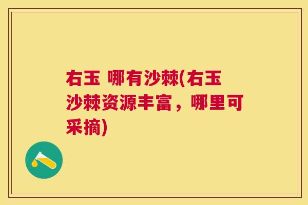 右玉 哪有沙棘(右玉沙棘资源丰富,哪里可采摘) 右玉 哪有沙棘(右玉沙棘资源丰富,哪里可采摘)