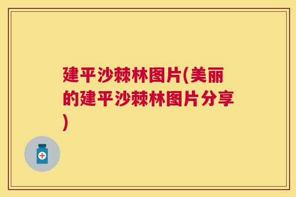 建平沙棘林图片(美丽的建平沙棘林图片分享)