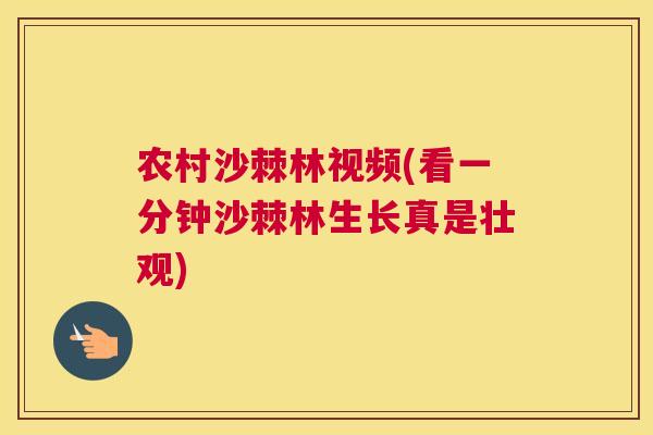 农村沙棘林视频(看一分钟沙棘林生长真是壮观)