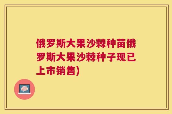 俄罗斯大果沙棘种苗俄罗斯大果沙棘种子现已上市销售) 俄罗斯大果沙棘种苗俄罗斯大果沙棘种子现已上市销售)