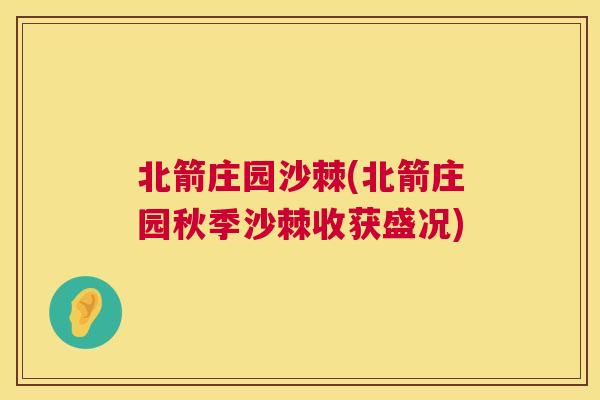 北箭庄园沙棘(北箭庄园秋季沙棘收获盛况) 北箭庄园沙棘(北箭庄园秋季沙棘收获盛况)