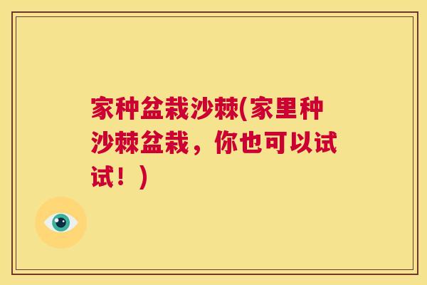家种盆栽沙棘(家里种沙棘盆栽,你也可以试试!)