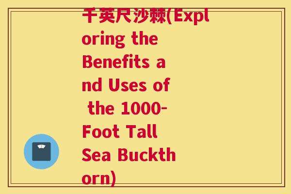 千英尺沙棘(Exploring the Benefits and Uses of the 1000-Foot Tall Sea Buckthorn)