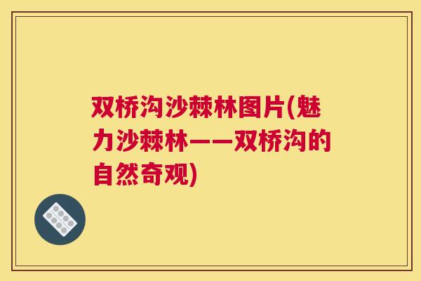 双桥沟沙棘林图片(魅力沙棘林——双桥沟的自然奇观)