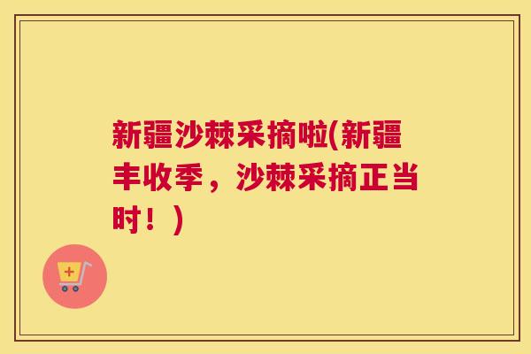 新疆沙棘采摘啦(新疆丰收季，沙棘采摘正当时！)