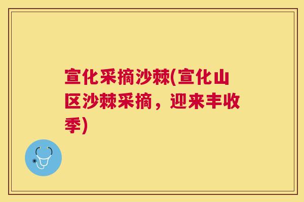 宣化采摘沙棘(宣化山区沙棘采摘,迎来丰收季)