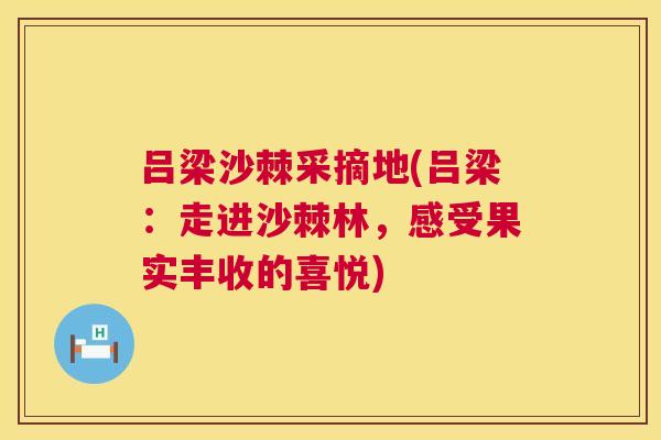 吕梁沙棘采摘地(吕梁：走进沙棘林，感受果实丰收的喜悦)