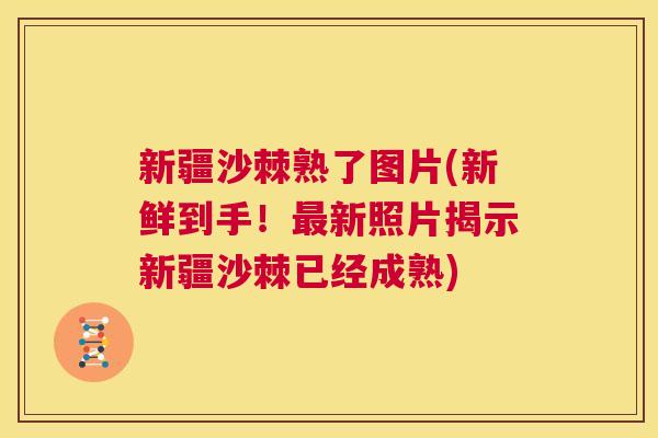 新疆沙棘熟了图片(新鲜到手！最新照片揭示新疆沙棘已经成熟)