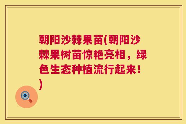 朝阳沙棘果苗(朝阳沙棘果树苗惊艳亮相，绿色生态种植流行起来！)